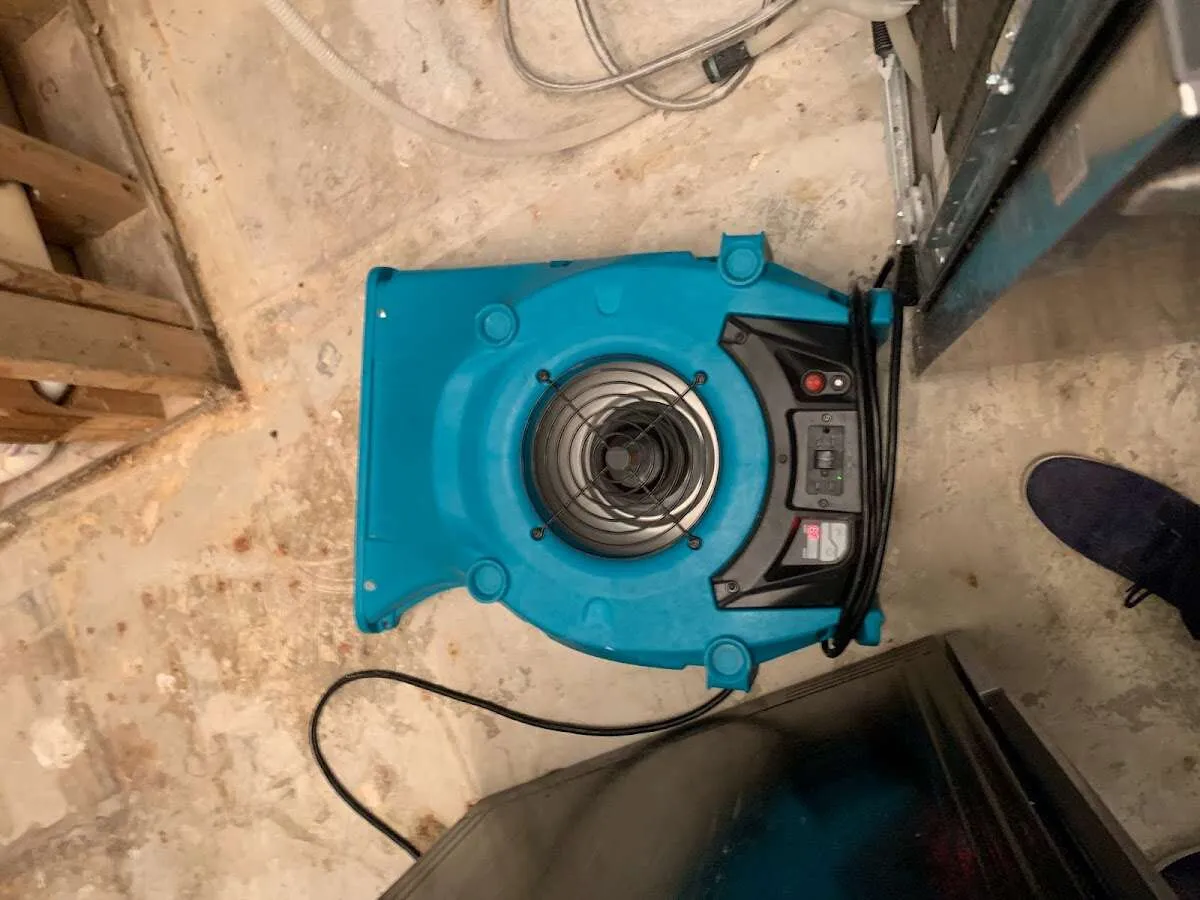 Air mover drying equipment for Mold Remediation & Removal in Williamstown