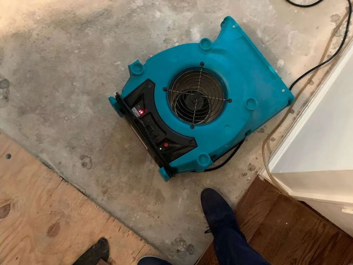 Air mover drying subfloor during Leak Detection & Repair in Williamstown
